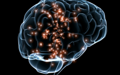 Neurológusok megállapították, hogyan befolyásolja a lélegzet az agyműködést